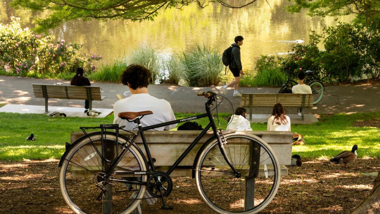 A peaceful park scene with several people relaxing near a pond. In the foreground, a person sits on a bench reading a book, with a black bicycle propped against the bench. Ducks and geese walk and rest on the grass nearby. Other people sit on benches and the grass, while one person walks along the path beside the water. Trees provide shade and greenery, and the pond reflects the surrounding landscape.