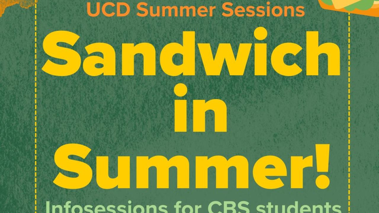 Colorful digital flyer with a green textured background and sandwich graphics in the corners. Bold yellow and orange text reads: “UCD Summer Sessions – Sandwich in Summer! Infosessions for CBS students.”
