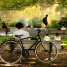 A peaceful park scene with several people relaxing near a pond. In the foreground, a person sits on a bench reading a book, with a black bicycle propped against the bench. Ducks and geese walk and rest on the grass nearby. Other people sit on benches and the grass, while one person walks along the path beside the water. Trees provide shade and greenery, and the pond reflects the surrounding landscape.