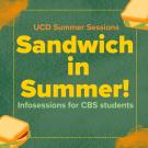 Colorful digital flyer with a green textured background and sandwich graphics in the corners. Bold yellow and orange text reads: “UCD Summer Sessions – Sandwich in Summer! Infosessions for CBS students.”