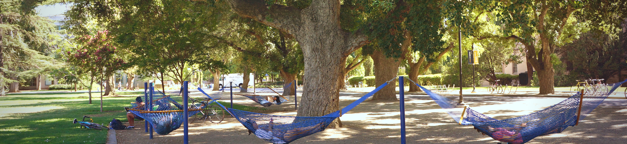 picture of hammocks in the Quad